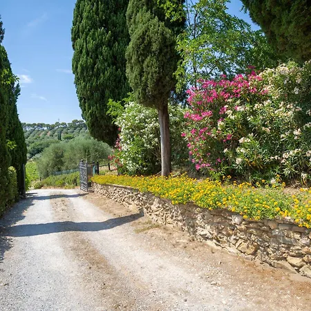 Iris By Interhome Apartman Venturina Terme