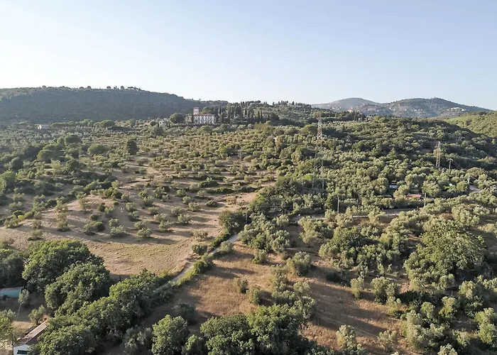 Apartmán Iris By Interhome *